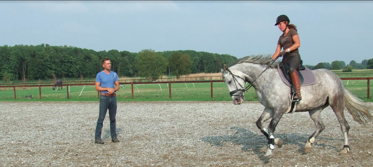 Fysiotherapie en chiropractie voor ruiter & paard